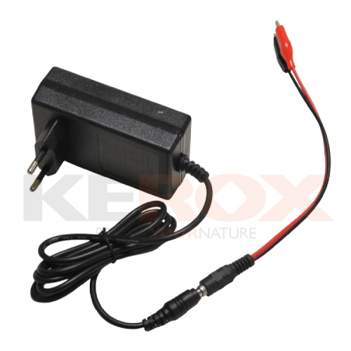 Chargeur 24V + adaptateur pour voiture électrique enfant