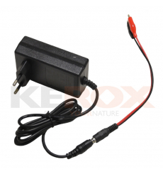Chargeur 24V + adaptateur pour voiture électrique enfant